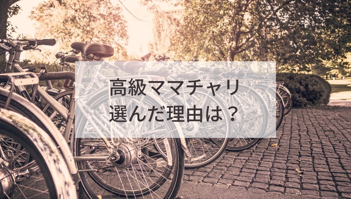 自転車通勤におすすめ！高級ママチャリ ミヤタ「ステンマックス」選ん 